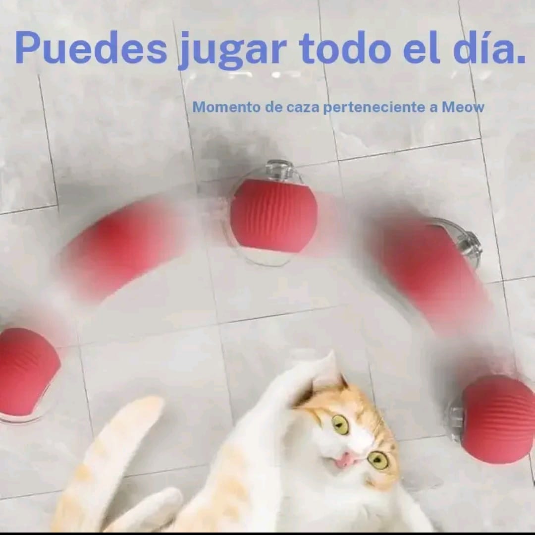 Gato_Jugando_Con_Pelota_Rodante