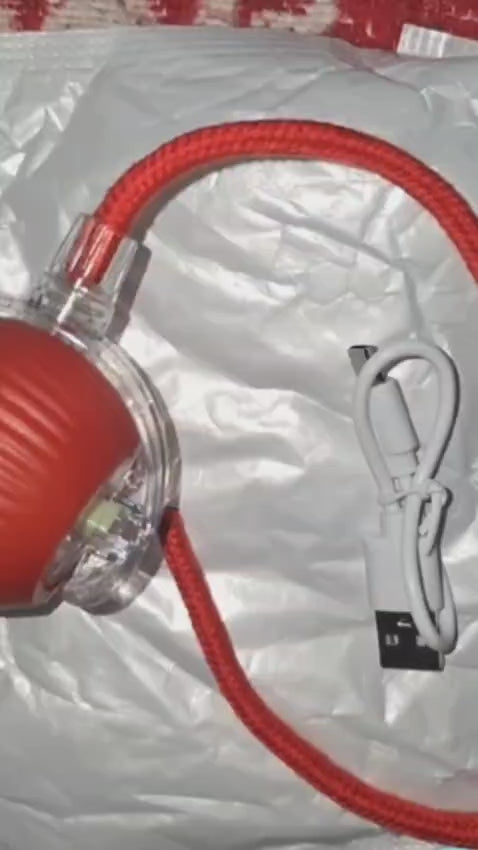 Perros_Interactuando_Con_Pelota_Rodante_Interactiva